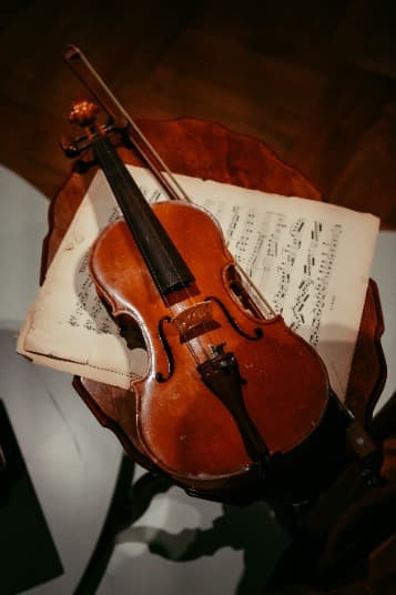 violin